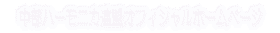 �����n�[���j�J�A���I�t�B�V�����z�[���y�[�W