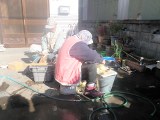 大根洗うバアやん、切り出すじいやん。