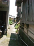 向こう側が海